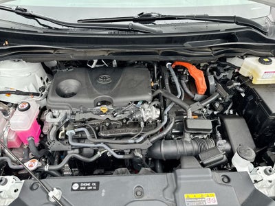 2025 Toyota Sienna Platinum