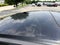 2009 Honda Accord Cpe EX-L