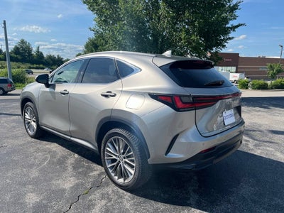 2022 Lexus NX NX 350h Premium