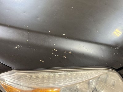 2006 Toyota RAV4 Sport