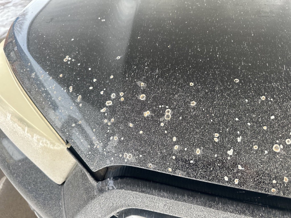 2011 Toyota 4Runner SR5