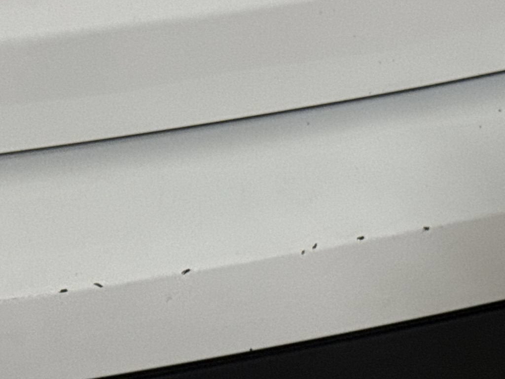 2013 Ford Explorer Base