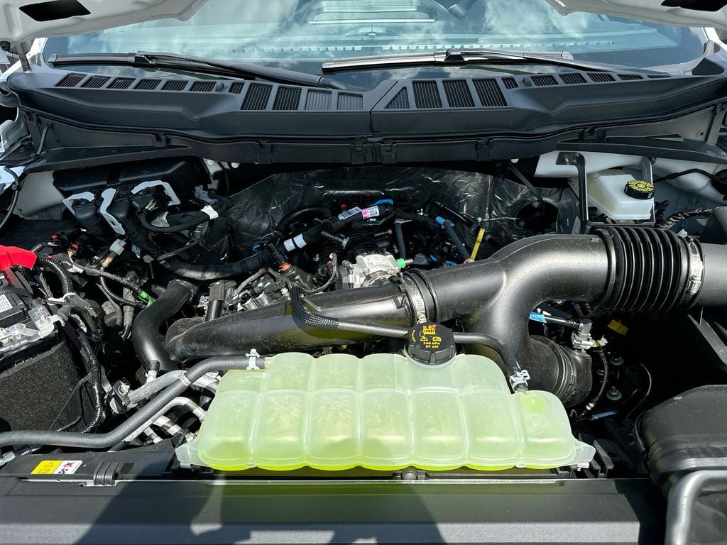 2025 Ford F-150 STX®