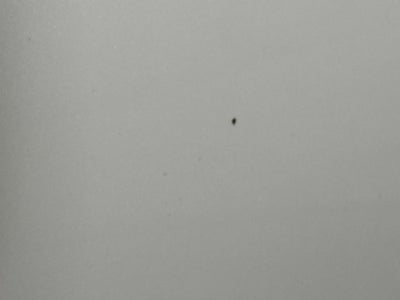 2010 Ford Explorer Limited