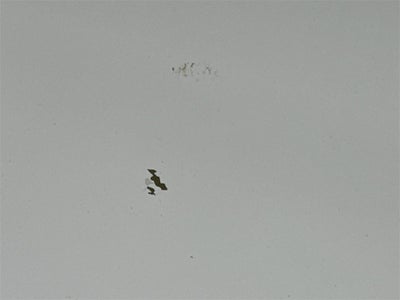 2002 Ford F-150 Lariat