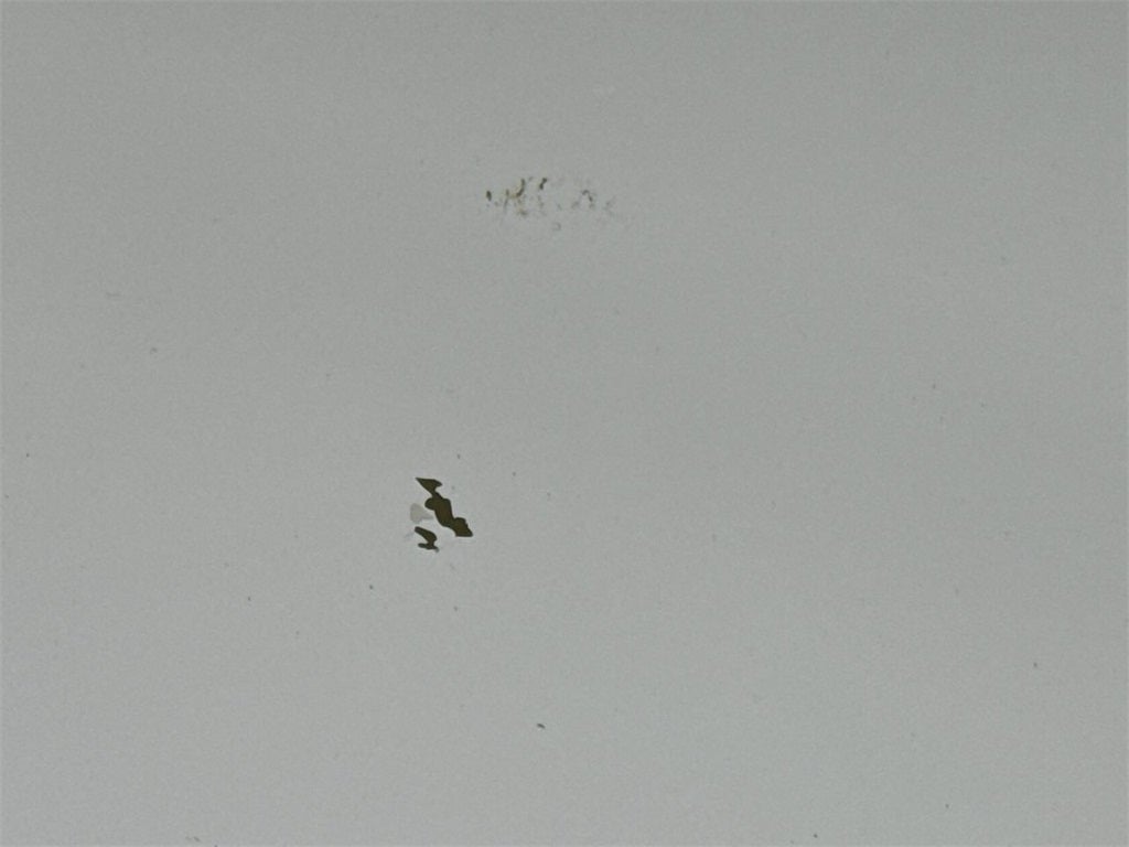 2002 Ford F-150 Lariat