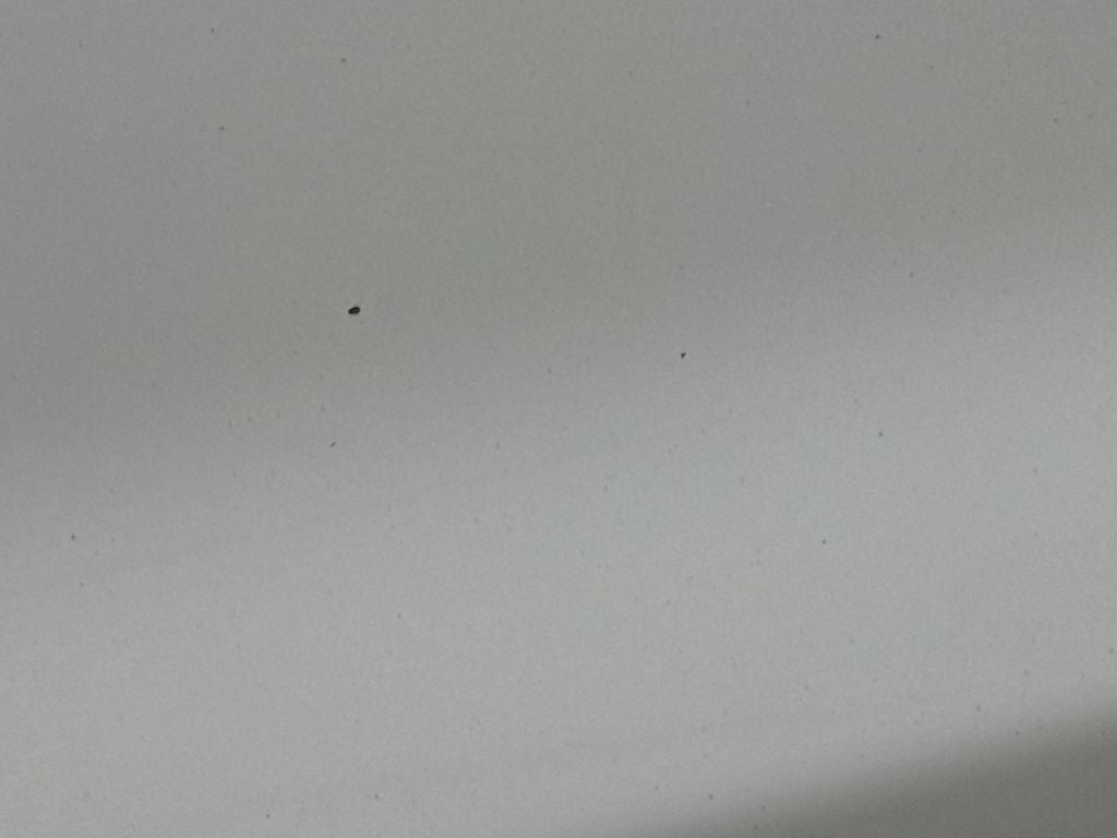 2016 Chevrolet Silverado 2500HD Work Truck