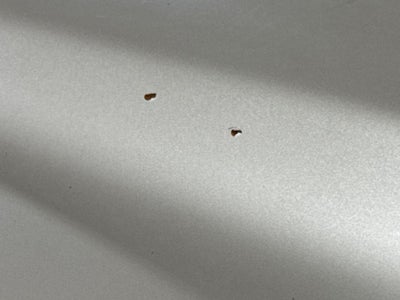 2008 GMC Sierra 1500 SLE1