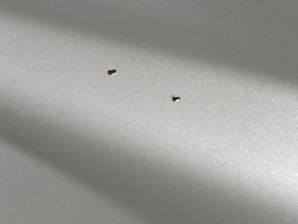 2008 GMC Sierra 1500 SLE1