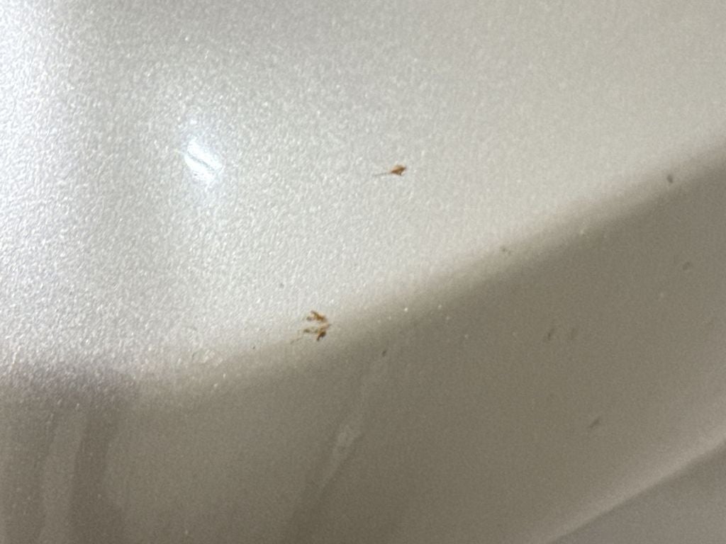 2001 Honda Accord EX-L