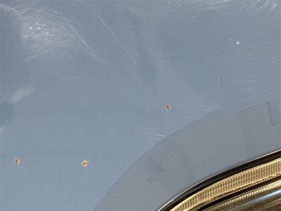 2019 Toyota Tacoma TRD Off-Road