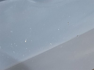 2019 Toyota Tacoma TRD Off-Road