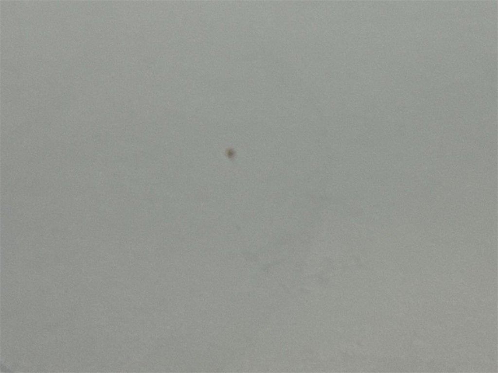 2016 Toyota Sienna L