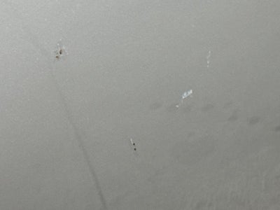 2010 INFINITI G37 Base