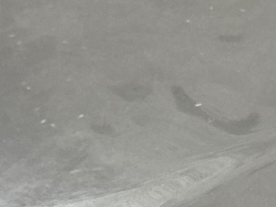 2010 Toyota 4Runner SR5