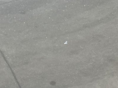 2010 Toyota 4Runner SR5