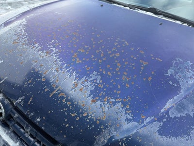 2002 Toyota Corolla LE