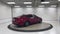2019 Toyota Avalon Touring