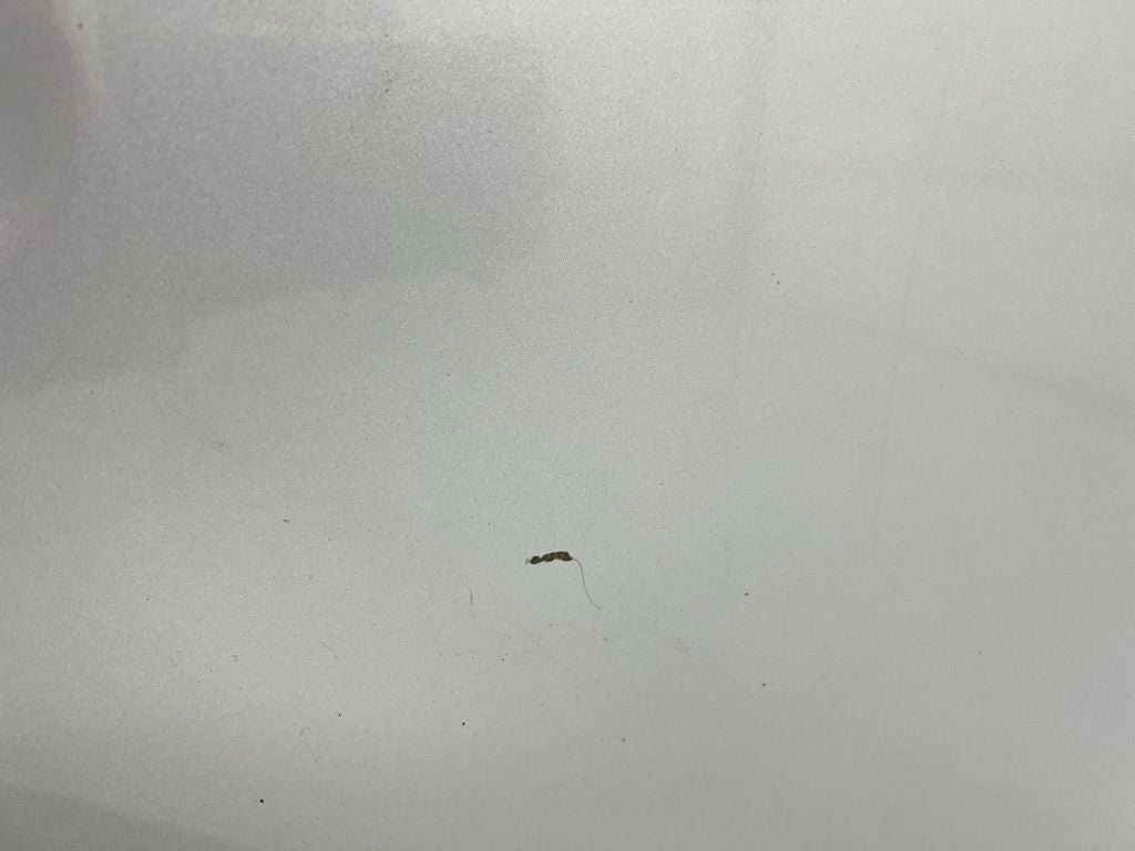 2016 Nissan NV Passenger SL